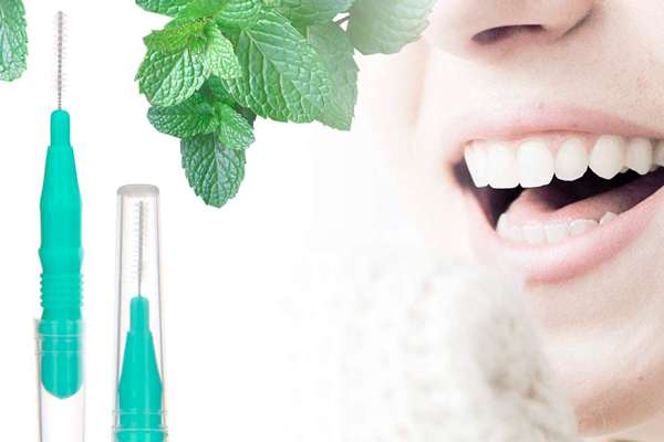 Cepillos interdentales e higiene bucal