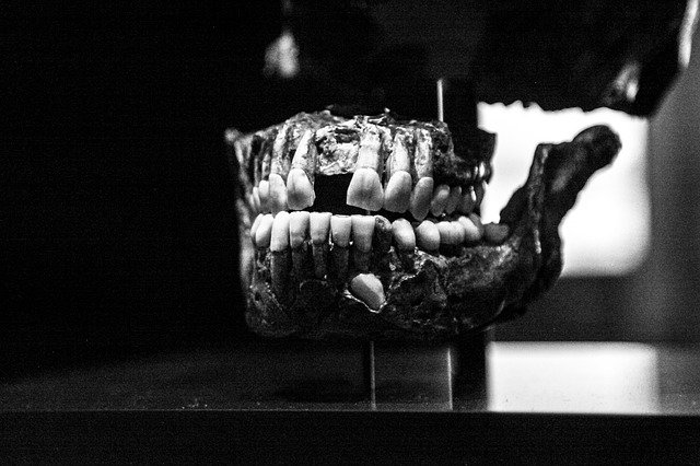 Historias dentales II