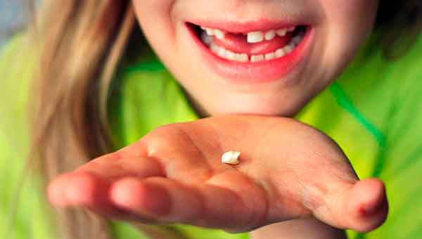 Dentición Infantil II