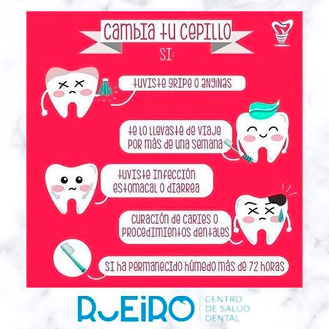cepillo cepillo