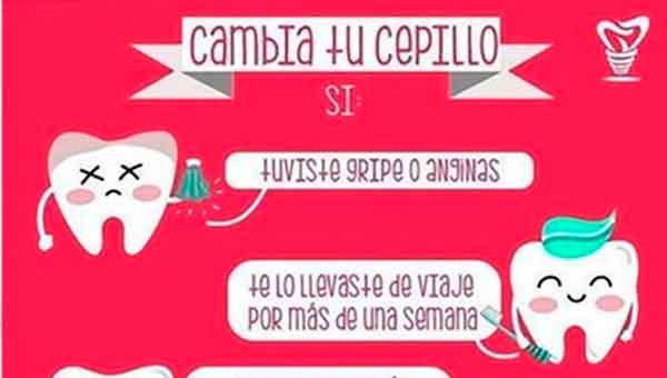 Cepillos dentales XIII