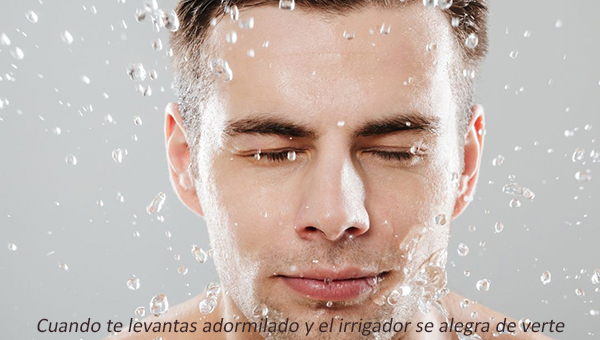 Irrigadores dentales I